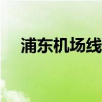 浦东机场线路（上海浦东机场线时刻表）