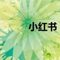 小红书 下架整改（小红书 下架）