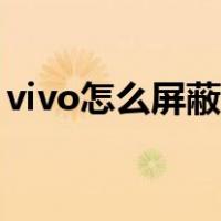 vivo怎么屏蔽网站（vivo手机怎么屏蔽网址）