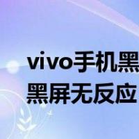 vivo手机黑屏无反应上面有白条（vivo手机黑屏无反应）