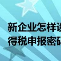 新企业怎样设置个人所得税申报密码（个人所得税申报密码）