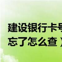 建设银行卡号忘了怎么查余额（建设银行卡号忘了怎么查）