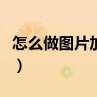 怎么做图片加文字的表格（怎么做图片加文字）
