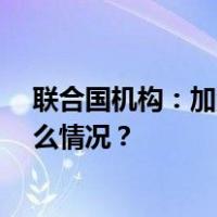 联合国机构：加沙地带逾34万巴勒斯坦人流离失所 这是什么情况？