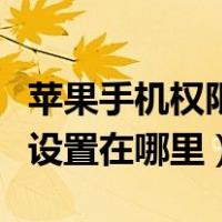 苹果手机权限设置在哪里设置（苹果手机权限设置在哪里）
