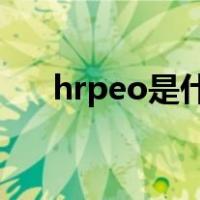 hrpeo是什么岗位（hrvp是什么职位）