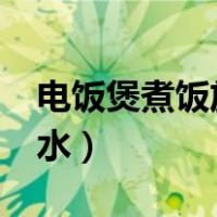 电饭煲煮饭放多少水?（电饭煲煮饭要放多少水）