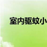 室内驱蚊小妙招图片（室内驱蚊小妙招）