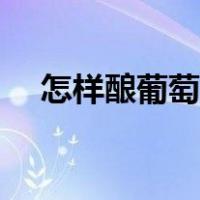 怎样酿葡萄酒的方法（怎样酿造葡萄酒）