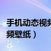 手机动态视频壁纸怎么设置方法（手机动态视频壁纸）