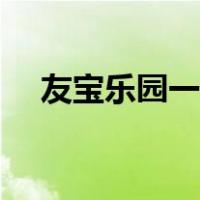 友宝乐园一元友宝（友宝一元有宝技巧）