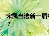 宋凯当选新一届中国足协主席 这是什么情况？