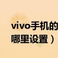 vivo手机的分辨率在哪里调（vivo分辨率在哪里设置）