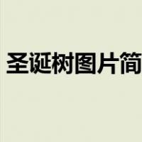 圣诞树图片简笔画涂色（圣诞树图片简笔画）