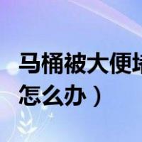 马桶被大便堵了怎么办最简单（马桶被屎堵了怎么办）