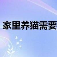 家里养猫需要注意什么（养猫需要注意什么）