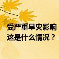 受严重旱灾影响，亚马孙河主要支流水位降至121年来最低 这是什么情况？
