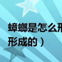 蟑螂是怎么形成的要怎么消灭它（蟑螂是怎么形成的）