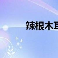 辣根木耳图片（辣根木耳的做法）