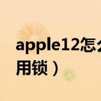 apple12怎么设置应用锁（ios12怎么设置应用锁）