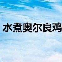 水煮奥尔良鸡腿的做法（奥尔良鸡腿的做法）