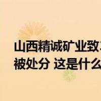 山西精诚矿业致3死坍塌事故调查报告公布，27名公职人员被处分 这是什么情况？