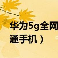 华为5g全网通手机有哪些型号（华为5g全网通手机）