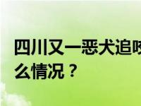 四川又一恶犬追咬2名幼童，警方回应 这是什么情况？