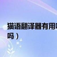 猫语翻译器有用吗?猫语翻译器怎么使用?（猫语翻译器有用吗）