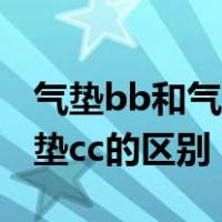 气垫bb和气垫cc的区别是什么（气垫bb和气垫cc的区别）