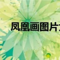 凤凰画图片大全 霸气（凤凰画图片大全）