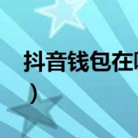 抖音钱包在哪里打开?（抖音钱包在哪里打开）