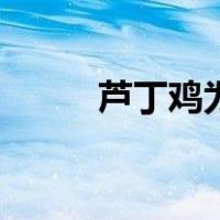 芦丁鸡为什么不建议养（芦丁鸡）