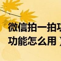 微信拍一拍功能怎么用别人后缀（微信拍一拍功能怎么用）