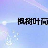 枫树叶简笔画大全（枫树叶简笔画）