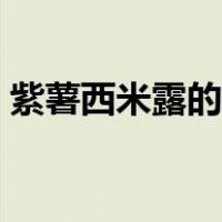 紫薯西米露的做法窍门（紫薯西米露的做法）