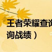 王者荣耀查询战绩的软件叫什么（王者荣耀查询战绩）