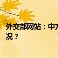 外交部网站：中方特使将出席巴勒斯坦问题峰会 这是什么情况？