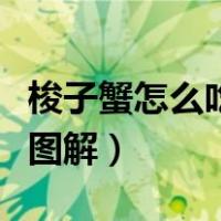 梭子蟹怎么吃图解哪里不能吃（梭子蟹怎么吃图解）