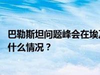 巴勒斯坦问题峰会在埃及举行，各方呼吁巴以停火止战 这是什么情况？