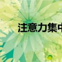 注意力集中的四字词语（注意力集中）