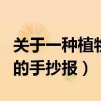 关于一种植物的手抄报怎么画（关于一种植物的手抄报）