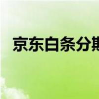 京东白条分期利息是多少（京东白条分期）