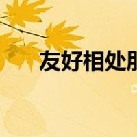 友好相处朋友多大班教案（友好相处）