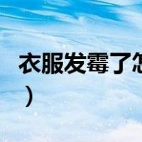 衣服发霉了怎么洗掉霉斑小妙招（衣服发霉了）