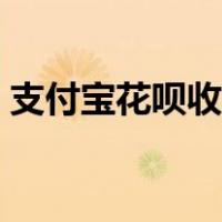 支付宝花呗收款设置在哪（支付宝花呗收款）