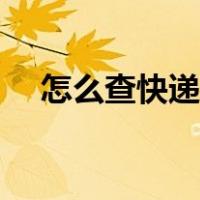 怎么查快递物流跟踪（怎么查快递物流）