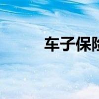 车子保险一年多少钱（车子保险）