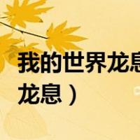我的世界龙息工作室里的所有模组（我的世界龙息）