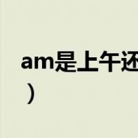 am是上午还是下（am是白天还是pm是白天）